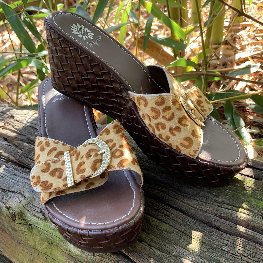 Add a little cha-cha to your everyday!